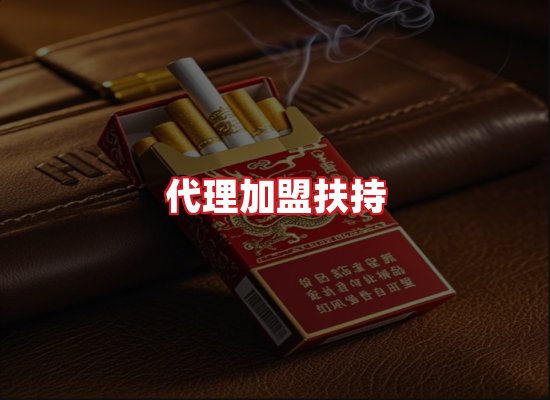 专业团队